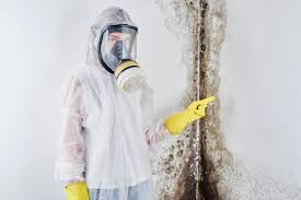 Best Mold Odor Removal Services  in Monticello, MS